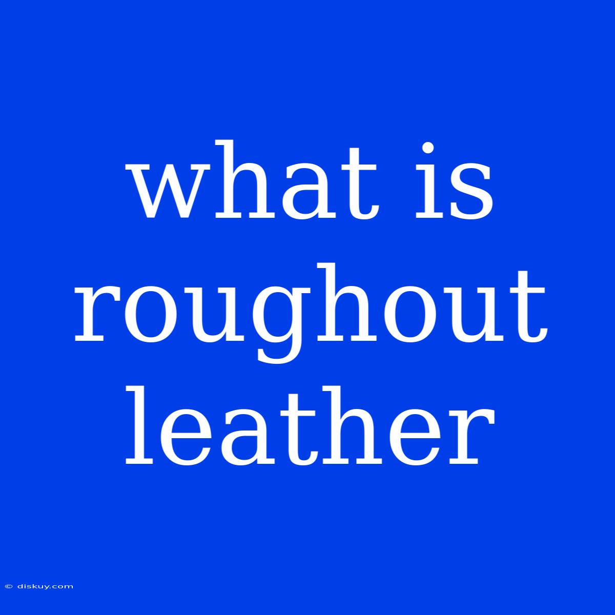 What Is Roughout Leather