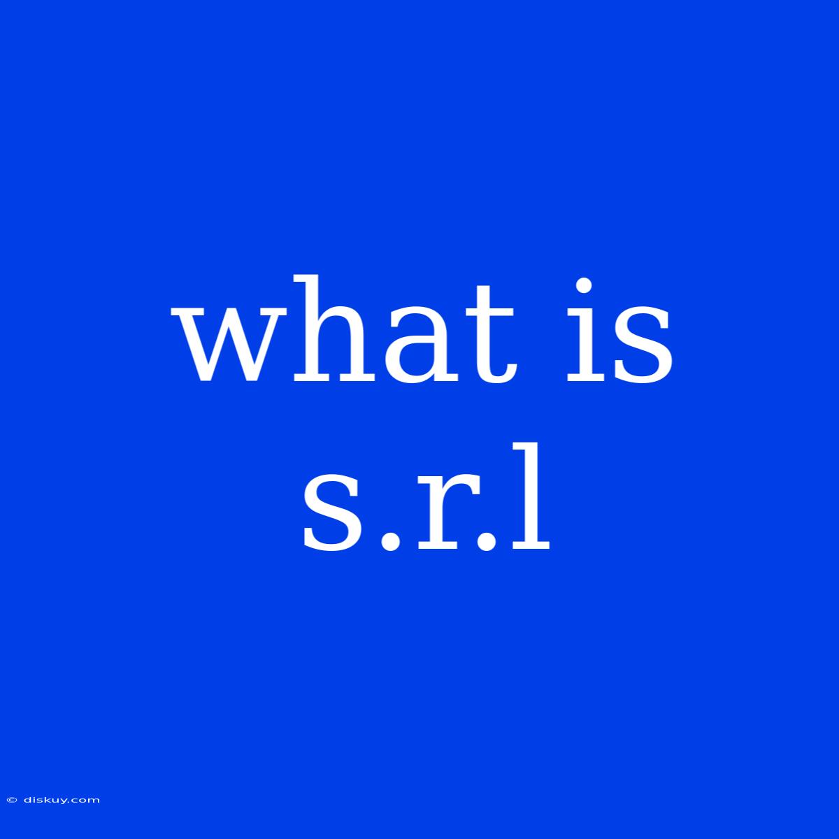 What Is S.r.l