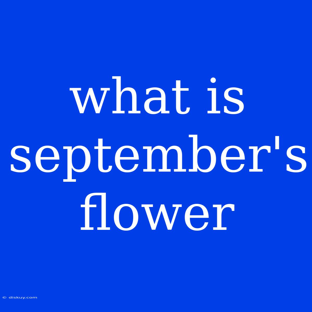 What Is September's Flower