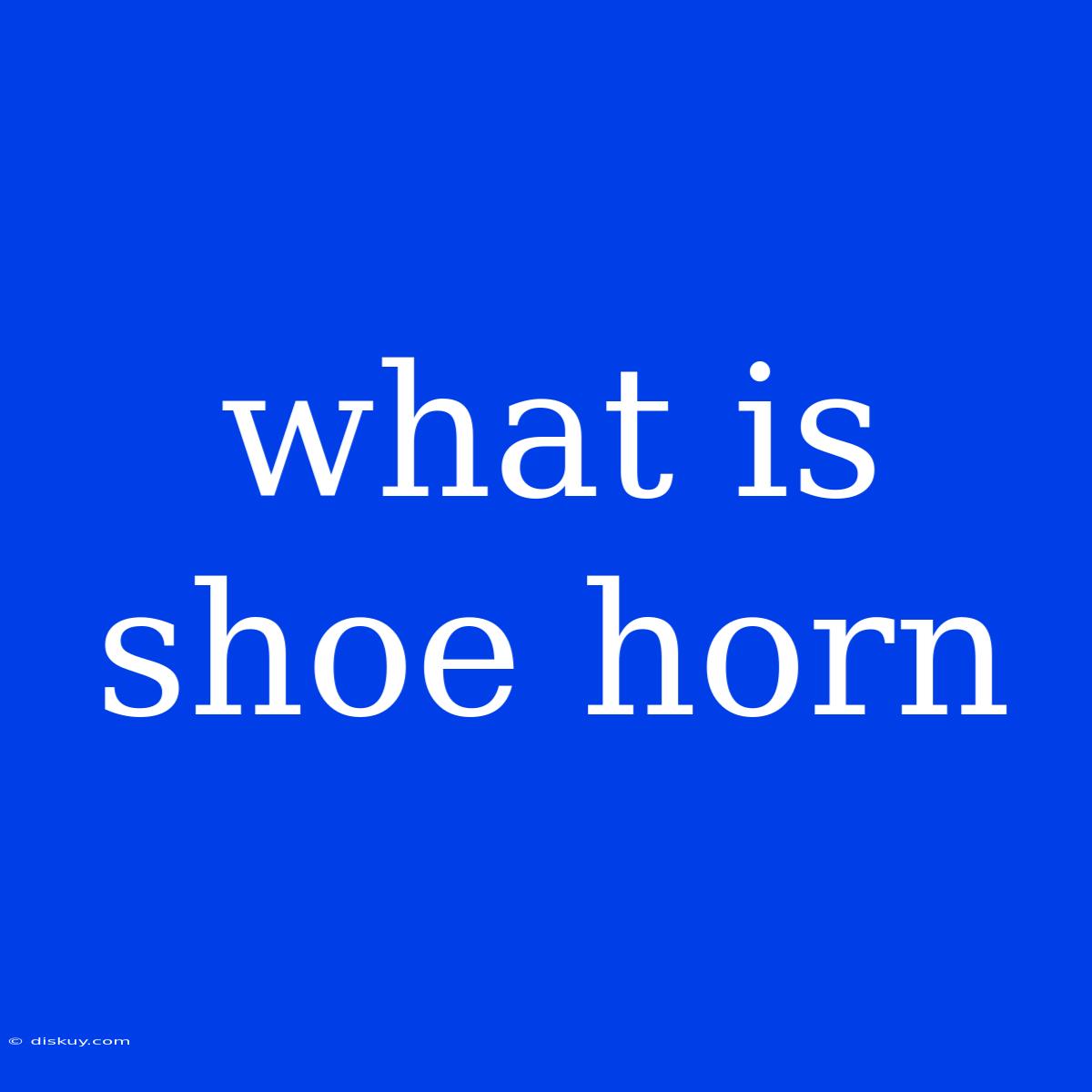 What Is Shoe Horn