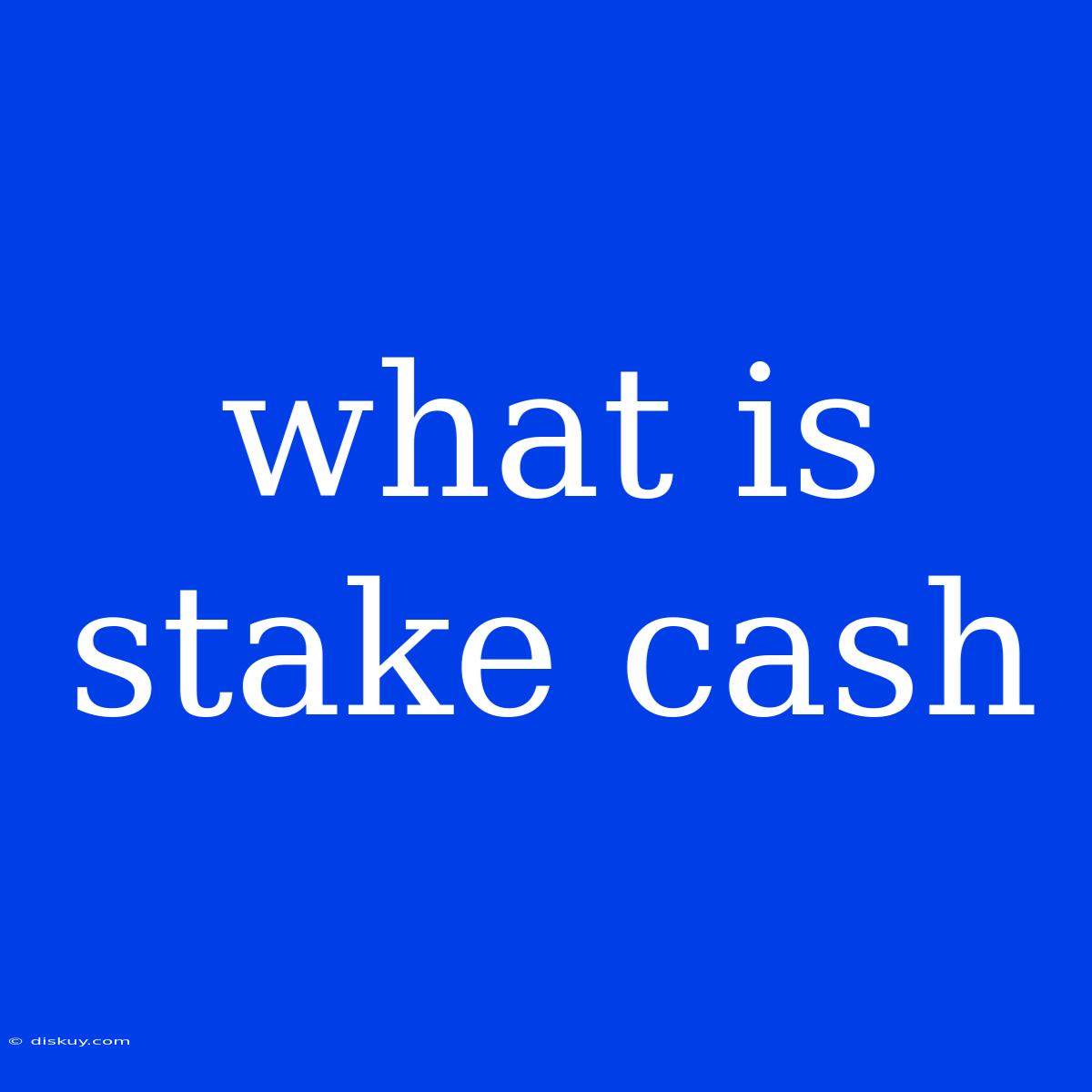 What Is Stake Cash