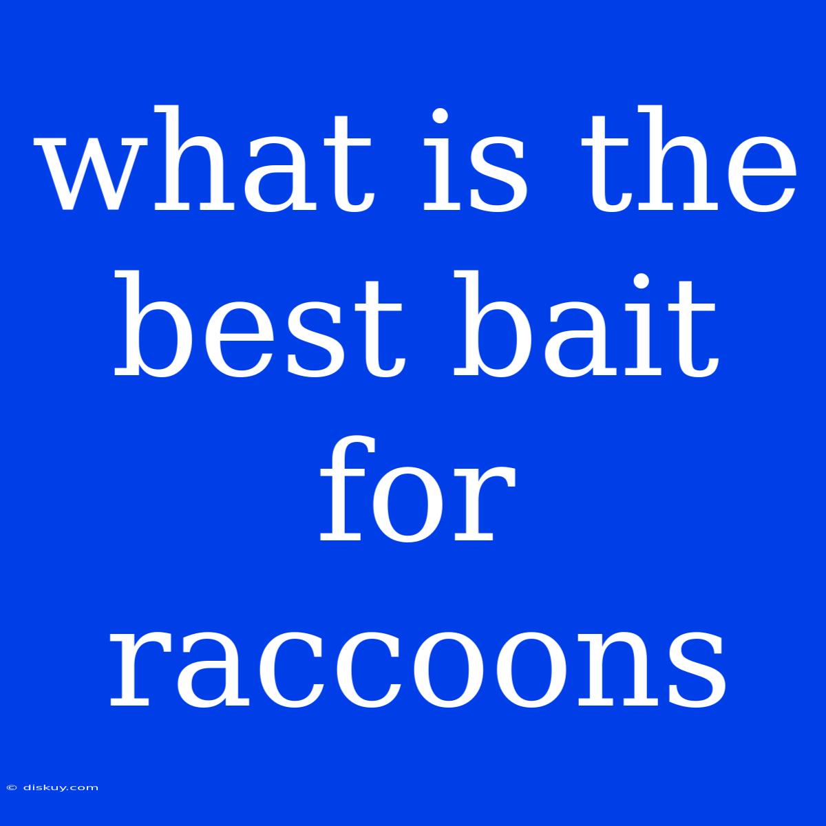 What Is The Best Bait For Raccoons