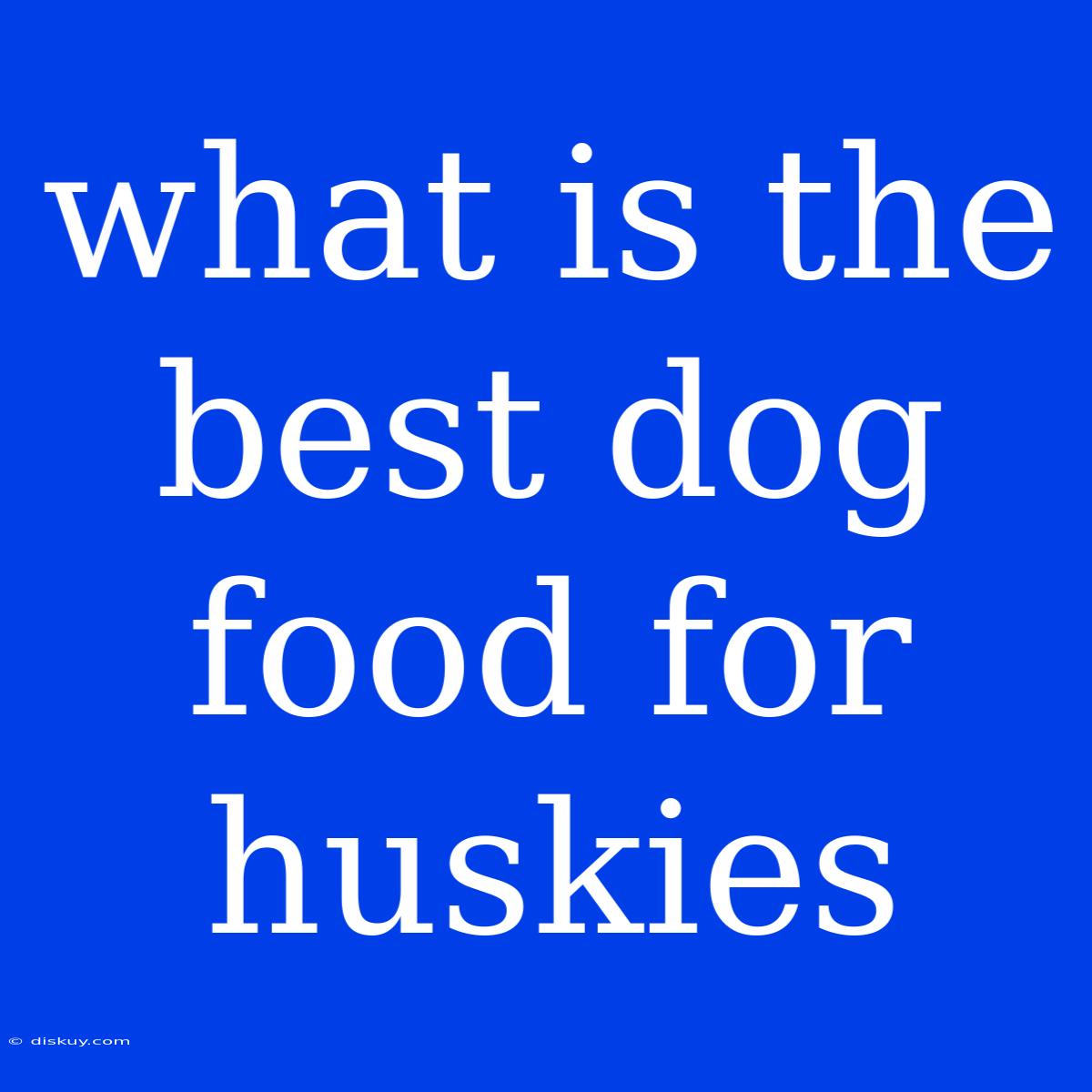 What Is The Best Dog Food For Huskies