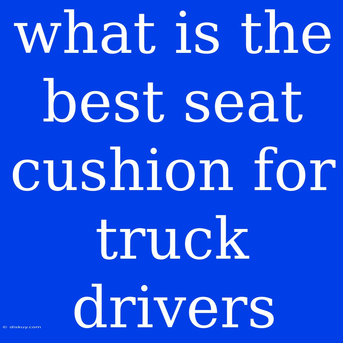 What Is The Best Seat Cushion For Truck Drivers