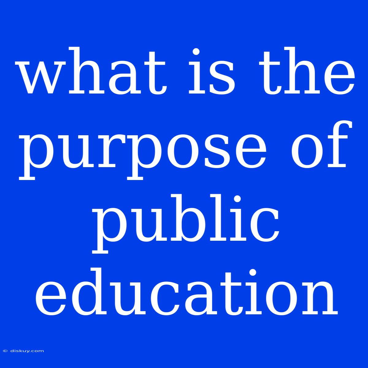 What Is The Purpose Of Public Education