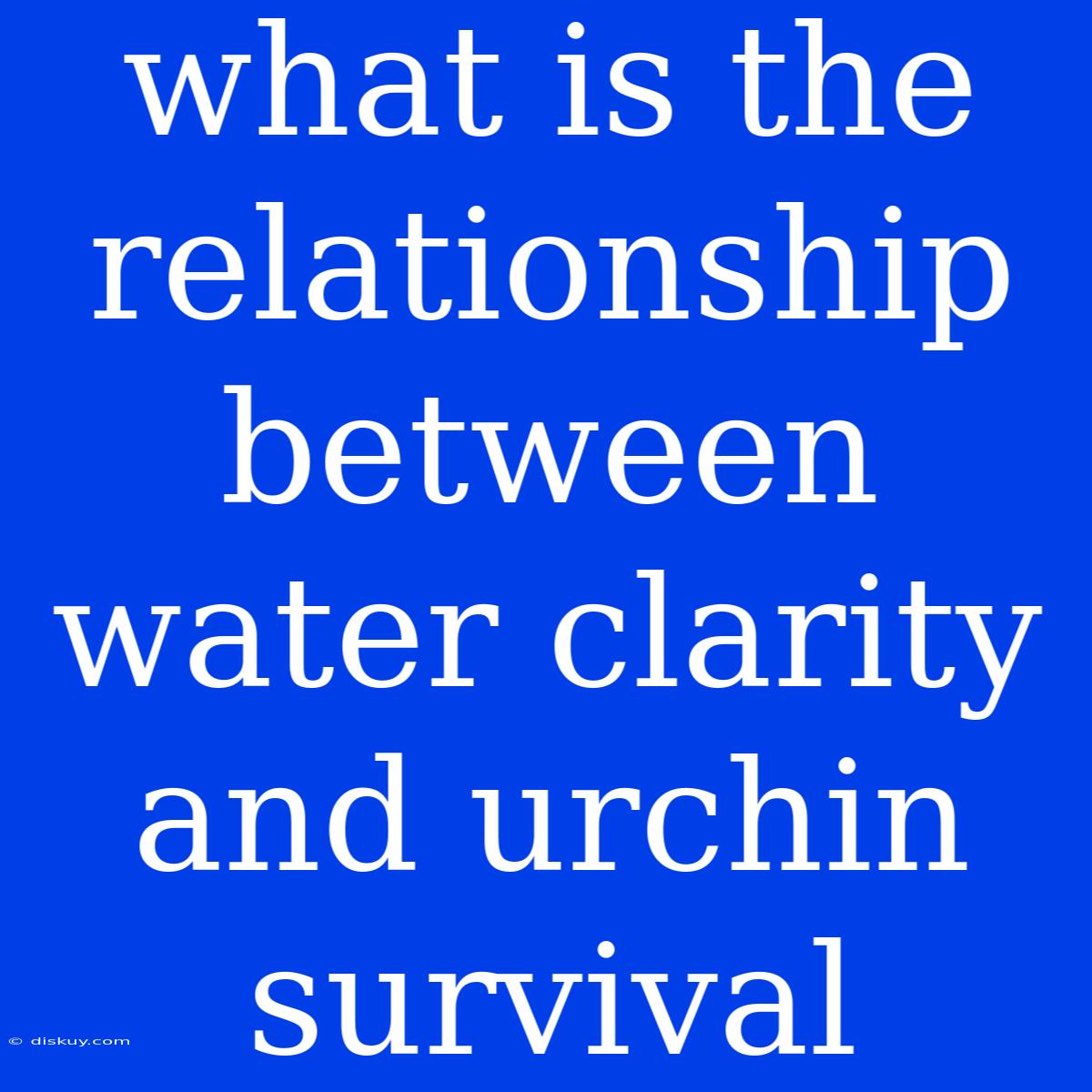 What Is The Relationship Between Water Clarity And Urchin Survival