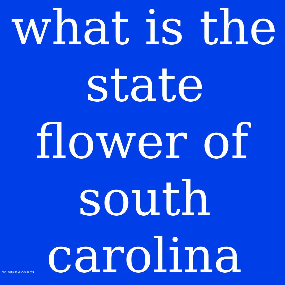 What Is The State Flower Of South Carolina