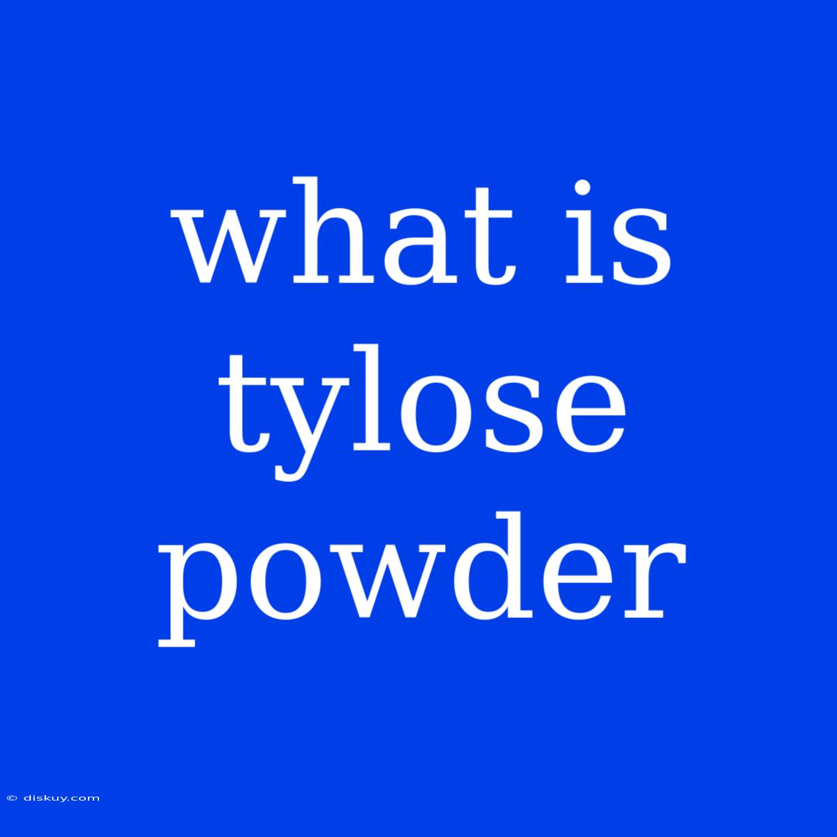 What Is Tylose Powder