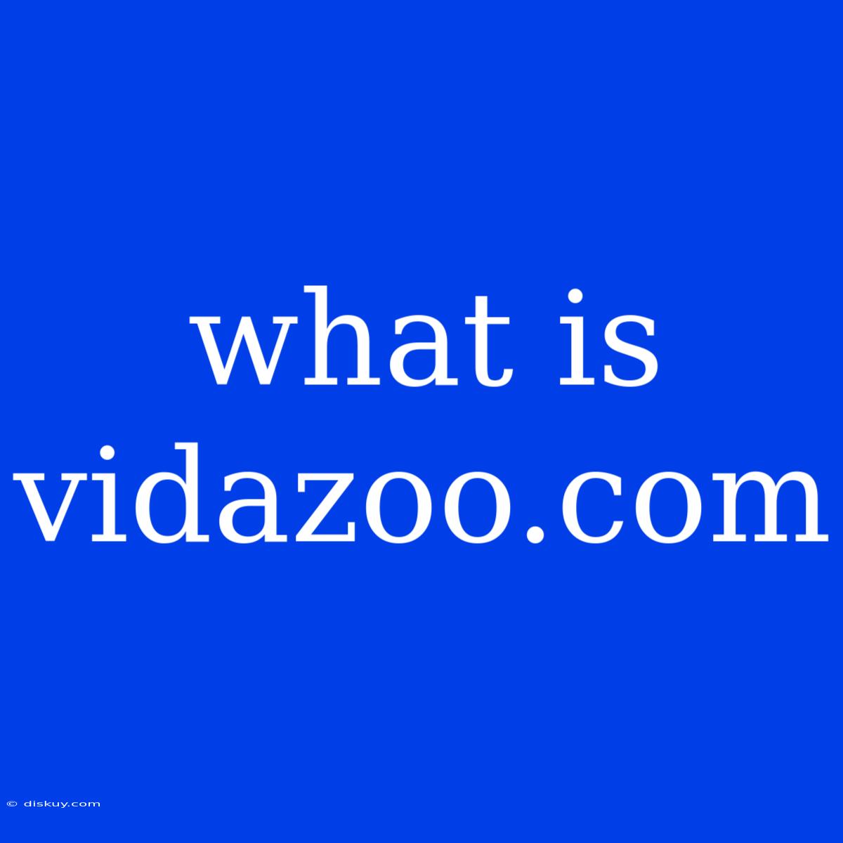 What Is Vidazoo.com