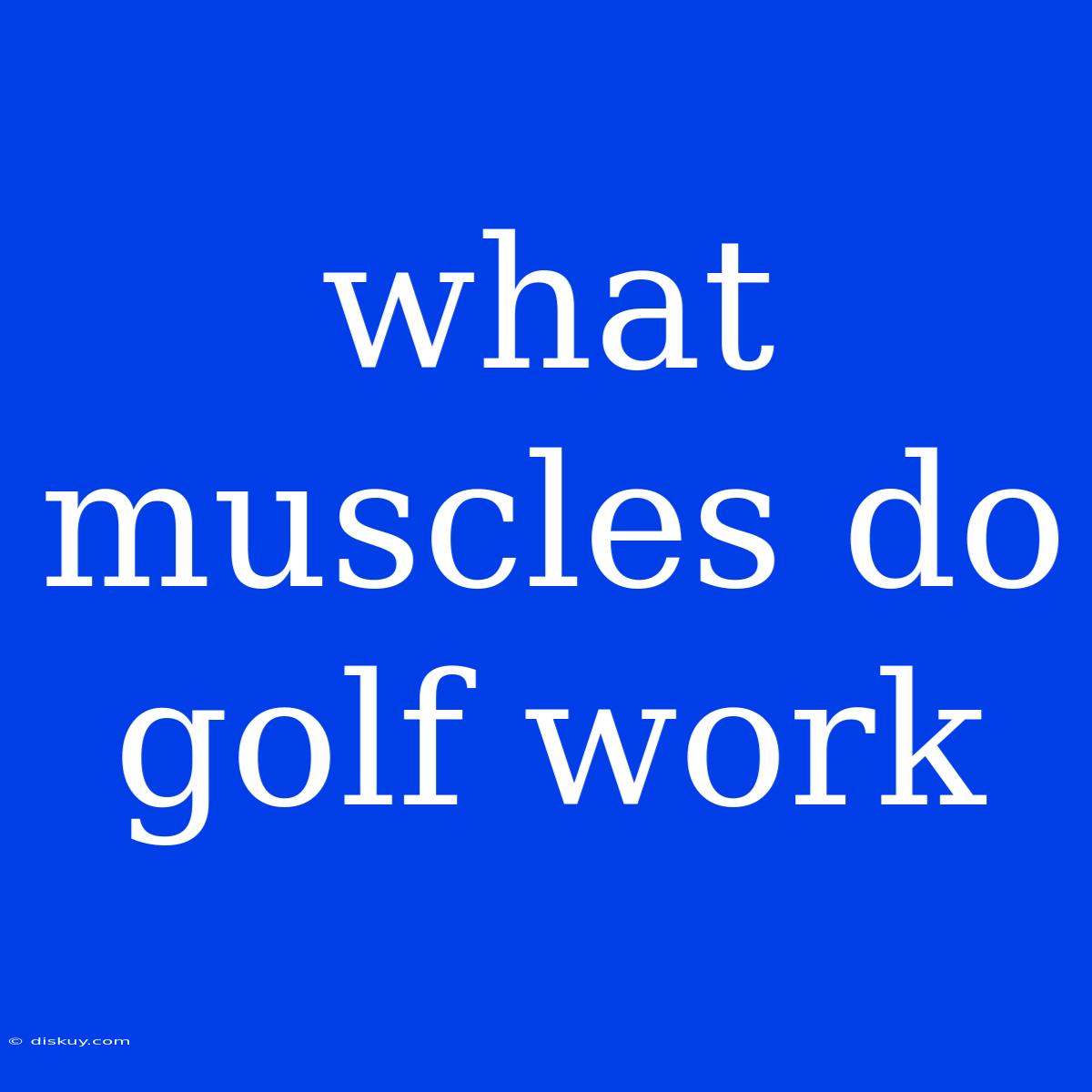 What Muscles Do Golf Work