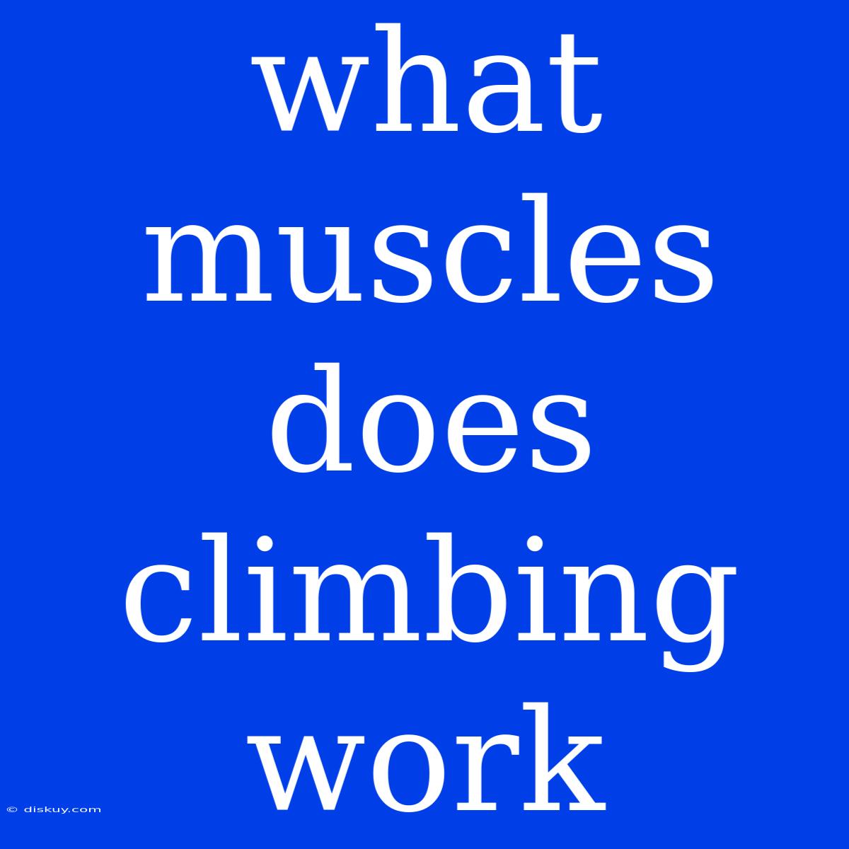 What Muscles Does Climbing Work