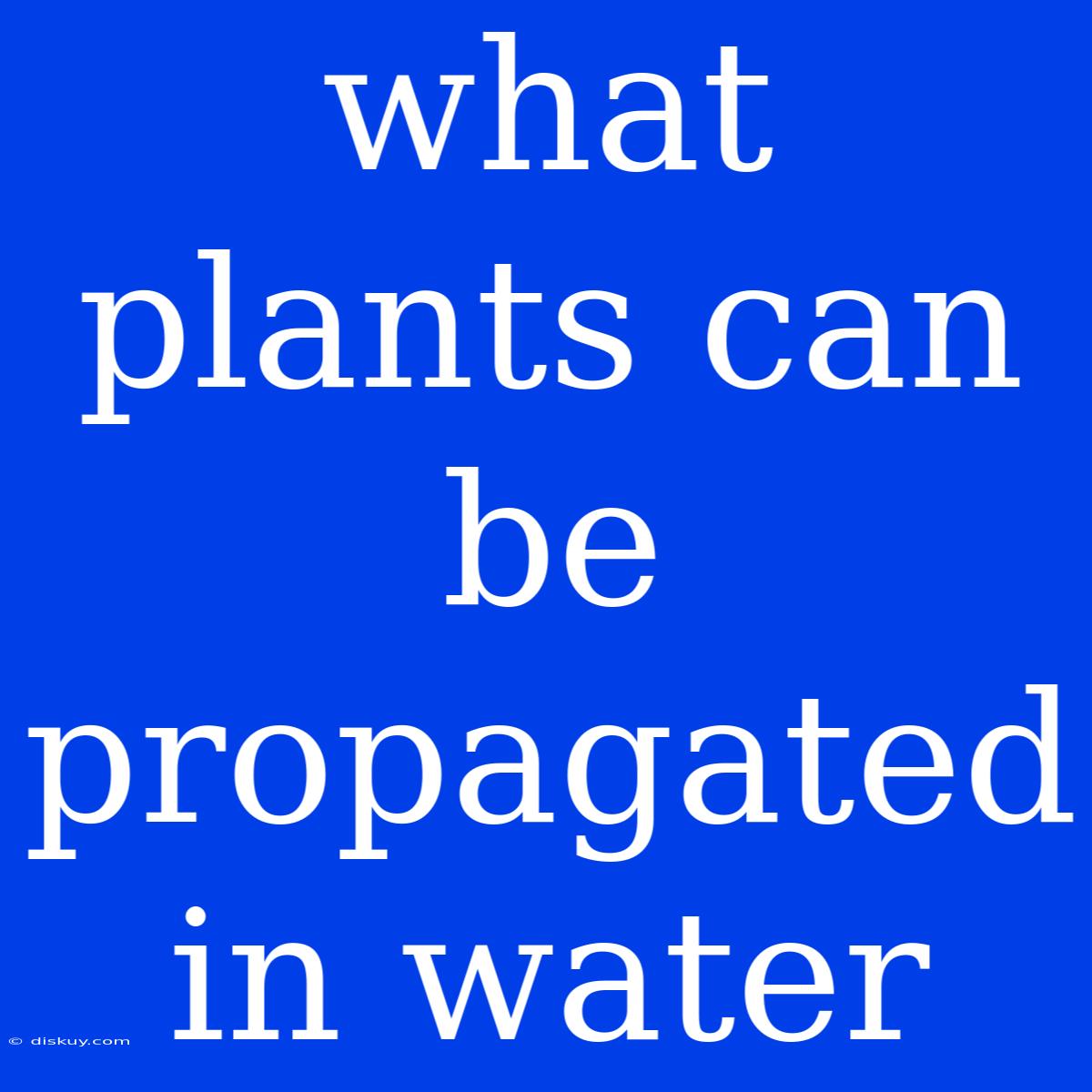 What Plants Can Be Propagated In Water