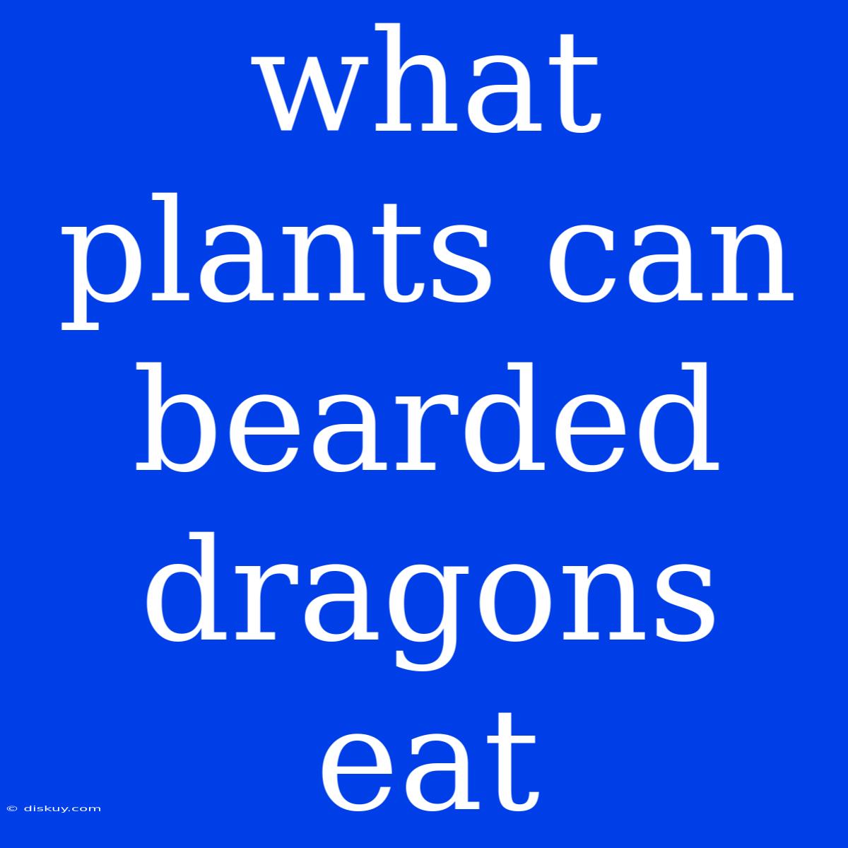 What Plants Can Bearded Dragons Eat