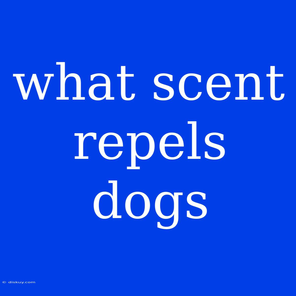 What Scent Repels Dogs