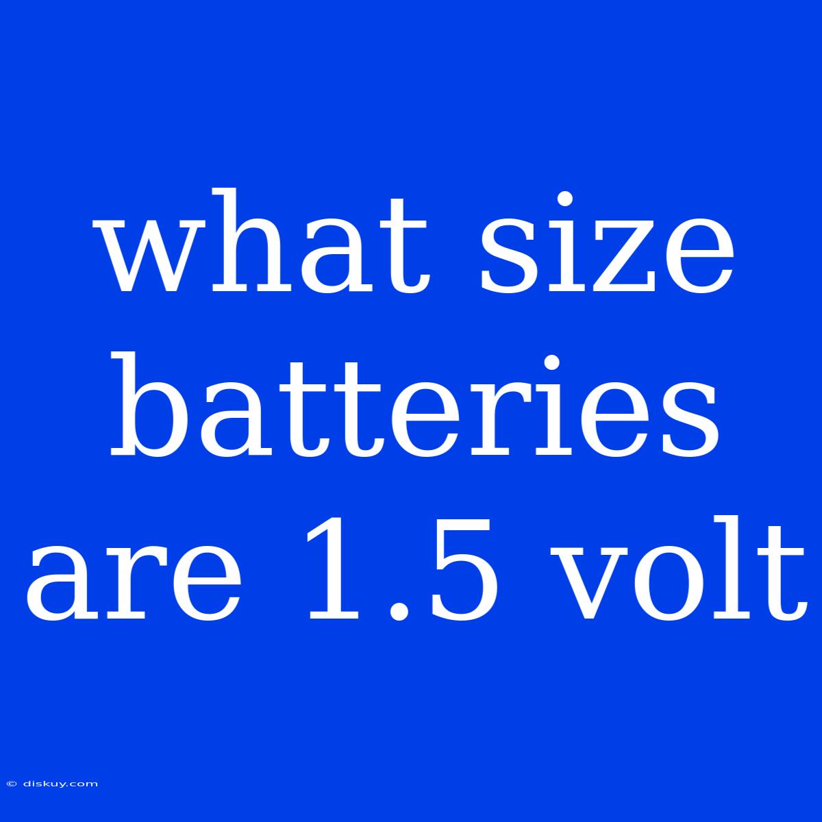 What Size Batteries Are 1.5 Volt