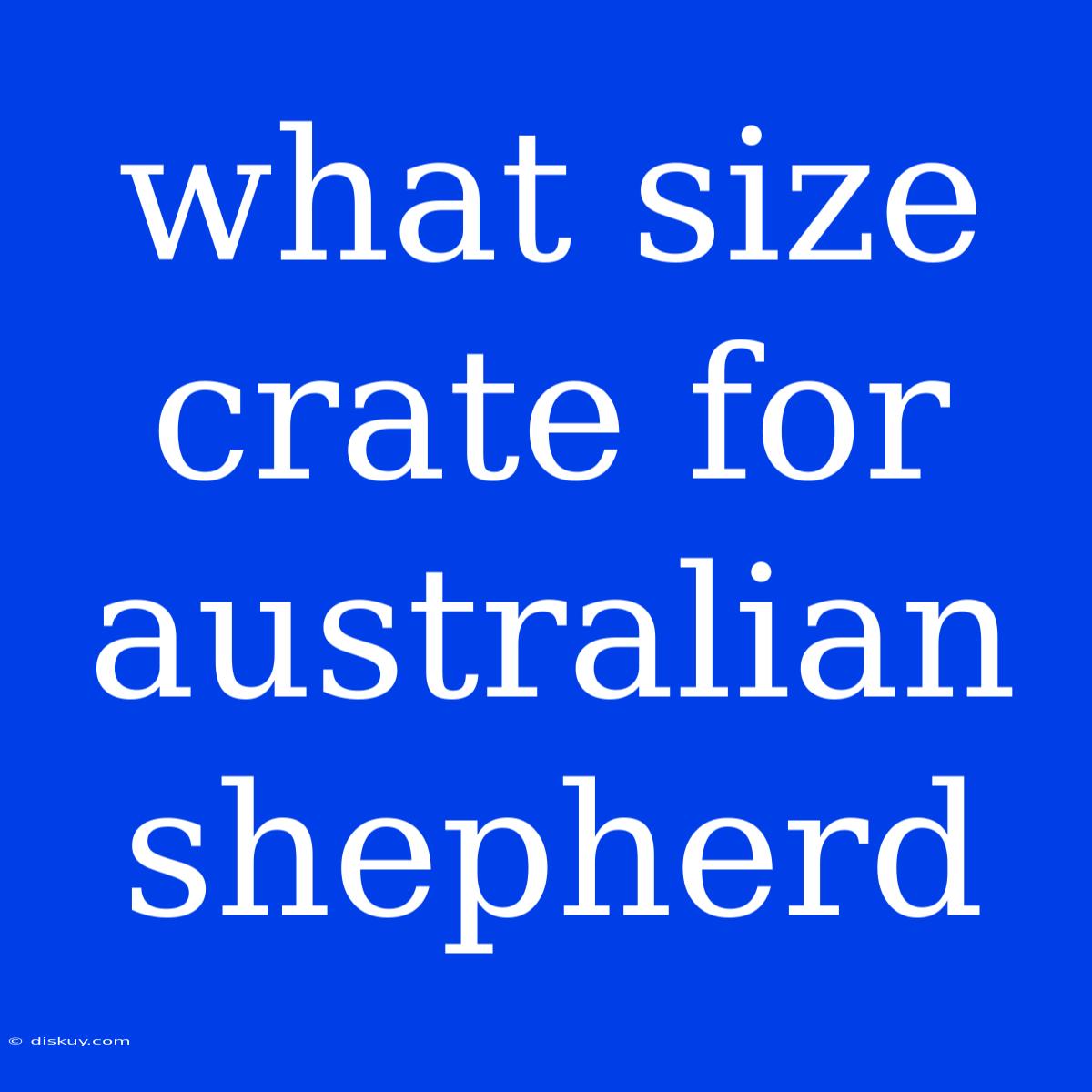 What Size Crate For Australian Shepherd