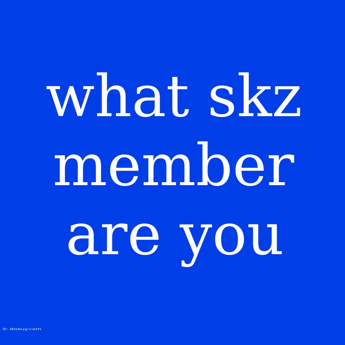 What Skz Member Are You