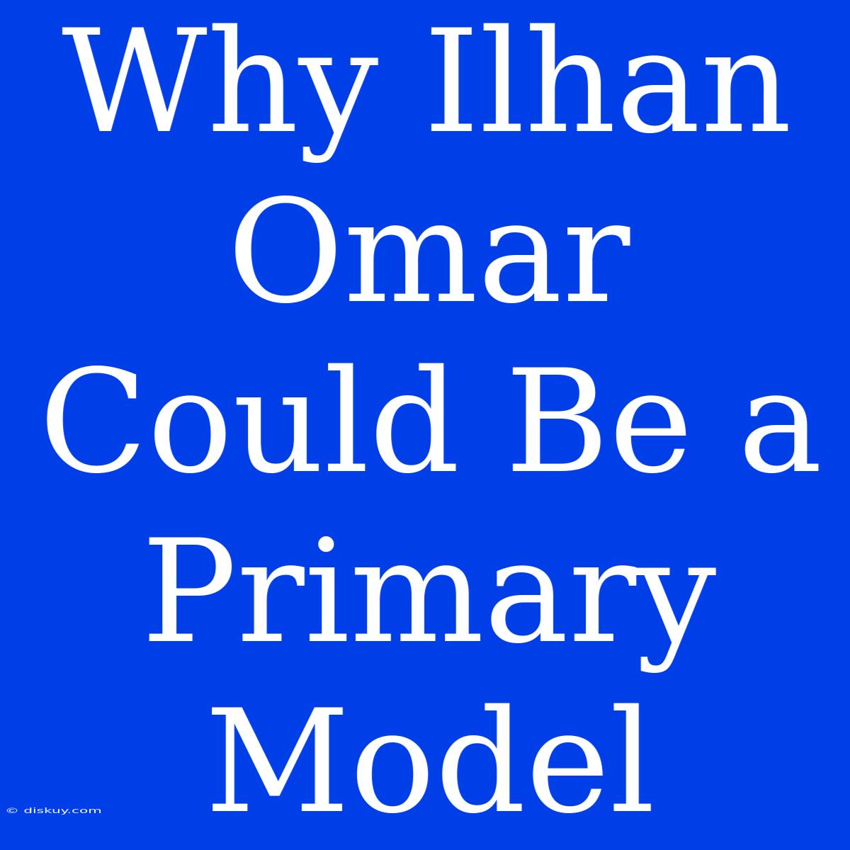 Why Ilhan Omar Could Be A Primary Model