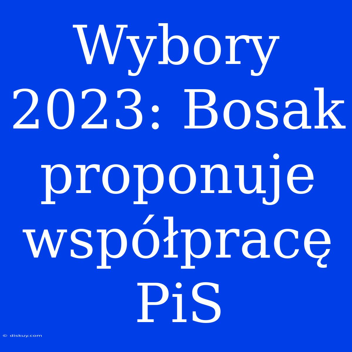 Wybory 2023: Bosak Proponuje Współpracę PiS