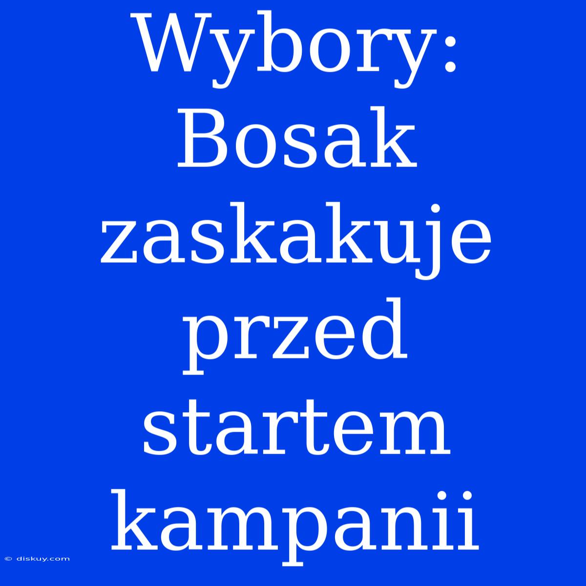 Wybory: Bosak Zaskakuje Przed Startem Kampanii